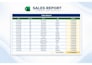 design professional excel sheets for billing, sales and reports